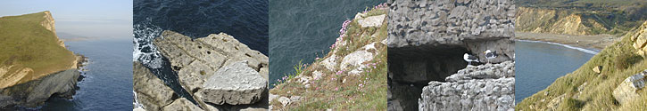 Jurassic Coastline