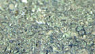 Purbeck Marble