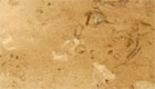 Spangle - light brown with a large spaced out shell structure
